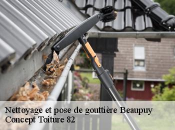 Nettoyage et pose de gouttière beaupuy-82600 Concept Toiture 82