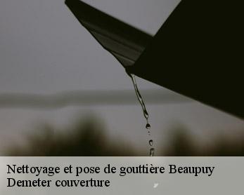 Nettoyage et pose de gouttière