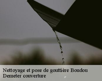 Nettoyage et pose de gouttière