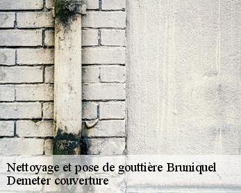 Nettoyage et pose de gouttière  82800