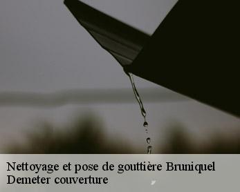 Nettoyage et pose de gouttière