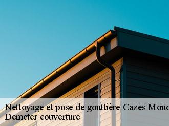 Nettoyage et pose de gouttière  cazes-mondenard-82110 Demeter couverture