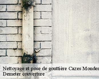 Nettoyage et pose de gouttière  82110