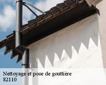 Nettoyage et pose de gouttière  82110