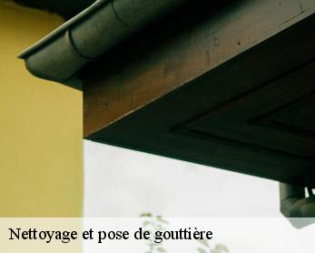 Nettoyage et pose de gouttière  82110