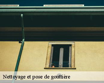 Nettoyage et pose de gouttière