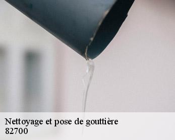 Nettoyage et pose de gouttière 82700