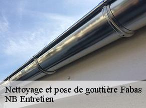 Nettoyage et pose de gouttière fabas-82170 NB Entretien