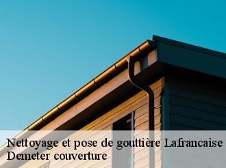 Nettoyage et pose de gouttière lafrancaise-82130 Demeter couverture