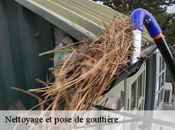 Nettoyage et pose de gouttière