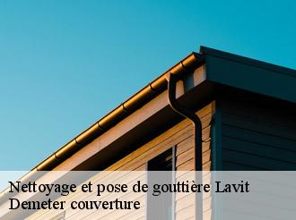 Nettoyage et pose de gouttière lavit-82120 Demeter couverture