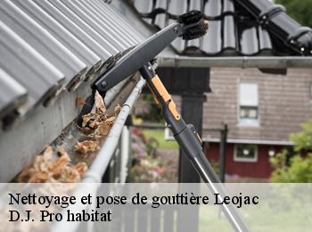 Nettoyage et pose de gouttière  leojac-82230 D.J. Pro habitat