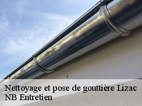Nettoyage et pose de gouttière lizac-82200 NB Entretien