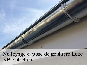 Nettoyage et pose de gouttière loze-82160 NB Entretien