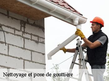 Nettoyage et pose de gouttière