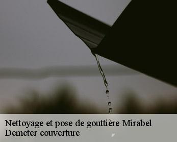 Nettoyage et pose de gouttière