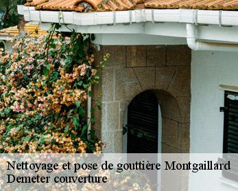 Nettoyage et pose de gouttière 82120