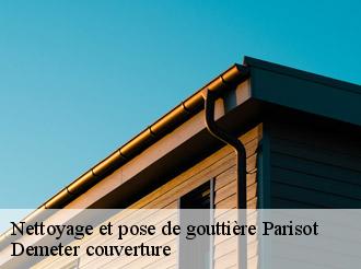 Nettoyage et pose de gouttière  parisot-82160 Demeter couverture