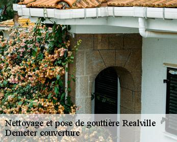 Nettoyage et pose de gouttière  82440