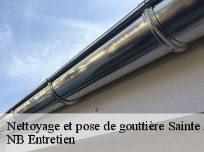 Nettoyage et pose de gouttière sainte-juliette-82110 NB Entretien