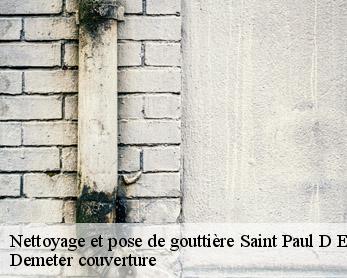 Nettoyage et pose de gouttière 82400