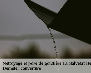 Nettoyage et pose de gouttière