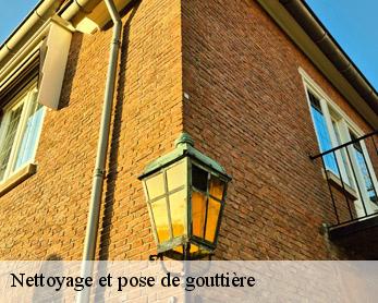 Nettoyage et pose de gouttière  82110