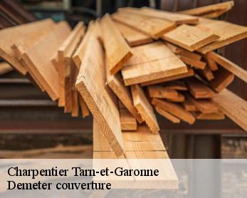 Charpentier Tarn-et-Garonne