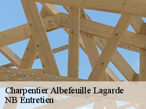 Charpentier albefeuille-lagarde-82290 Concept Toiture 82
