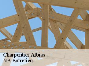 Charpentier albias-82350 NB Entretien