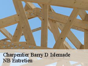 Charpentier barry-d-islemade-82290 NB Entretien