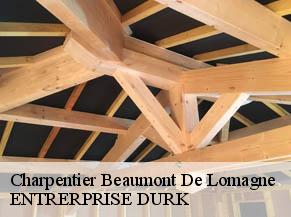 Charpentier beaumont-de-lomagne-82500 ENTRERPRISE DURK