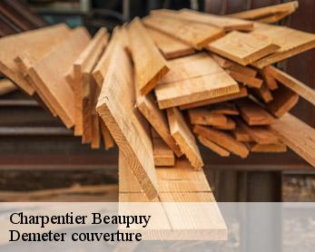 Charpentier 82600