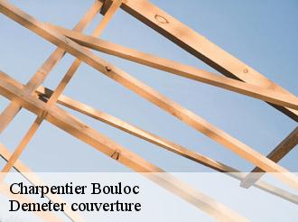 Charpentier bouloc-82110 Demeter couverture