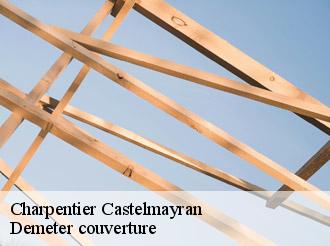 Charpentier castelmayran-82210 Demeter couverture