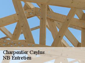 Charpentier caylus-82160 NB Entretien