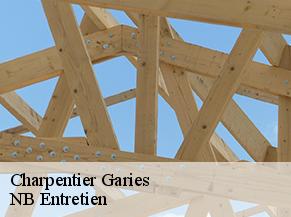 Charpentier garies-82500 NB Entretien