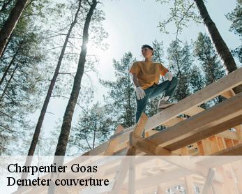 Charpentier 82500