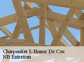 Charpentier l-honor-de-cos-82130 NB Entretien