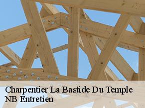 Charpentier la-bastide-du-temple-82100 NB Entretien