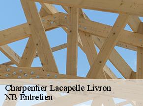 Charpentier lacapelle-livron-82160 NB Entretien