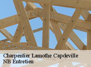 Charpentier lamothe-capdeville-82130 NB Entretien