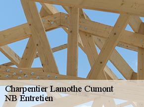 Charpentier  lamothe-cumont-82500 NB Entretien