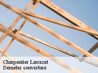 Charpentier  larrazet-82500 Demeter couverture