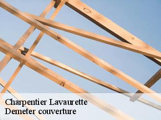 Charpentier lavaurette-82240 Demeter couverture