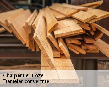 Charpentier 82160