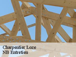 Charpentier loze-82160 Concept Toiture 82