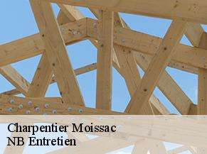 Charpentier moissac-82200 Concept Toiture 82