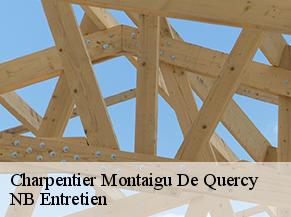 Charpentier montaigu-de-quercy-82150 NB Entretien