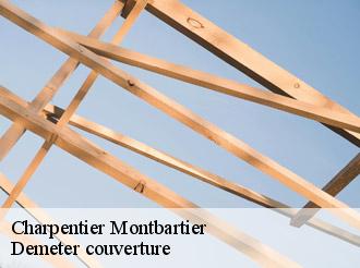 Charpentier  montbartier-82700 Demeter couverture